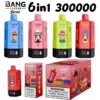 Bang Leader Stoll 300k Puffs 6 in 1 Einweg Vape 300000 Großhandel Kostenloser Versand