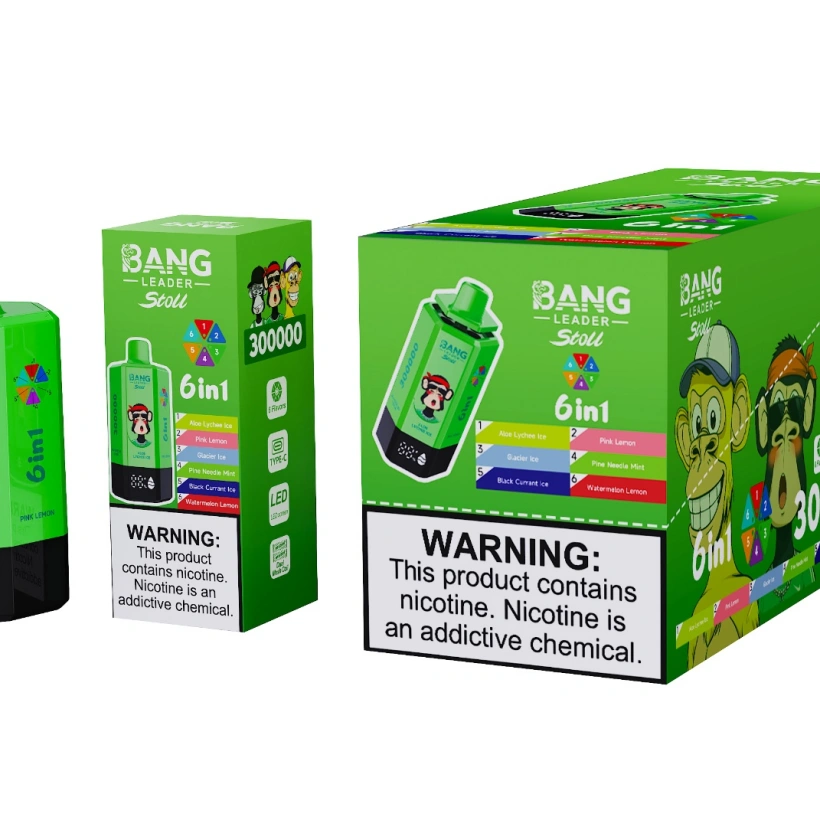 Bang Leader Stoll 300k Puffs 6 in 1 Einweg Vape 300000 Großhandel Kostenloser Versand
