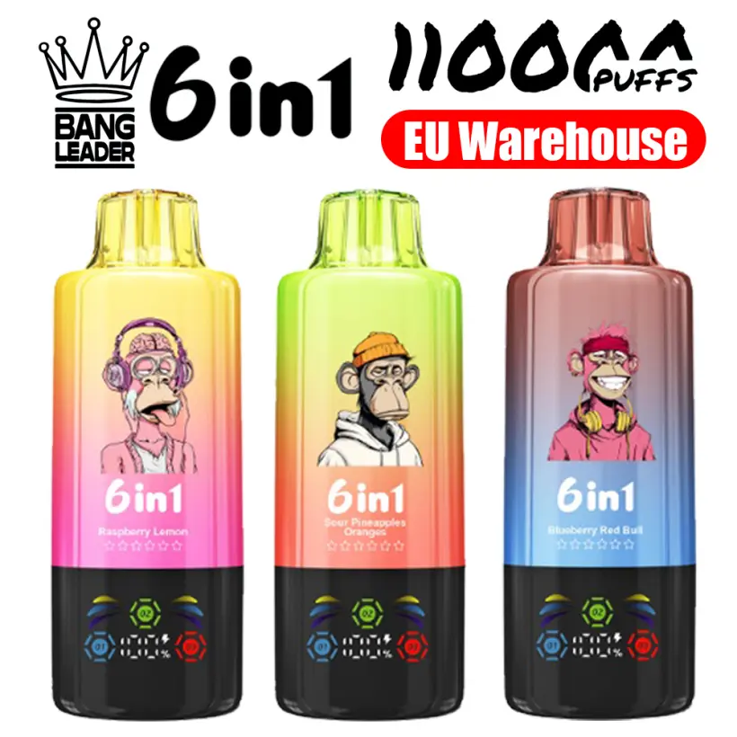 EU Vape Bang Leader 110k Züge 110000 Einweg E-Zigarette Schnelle Lieferung