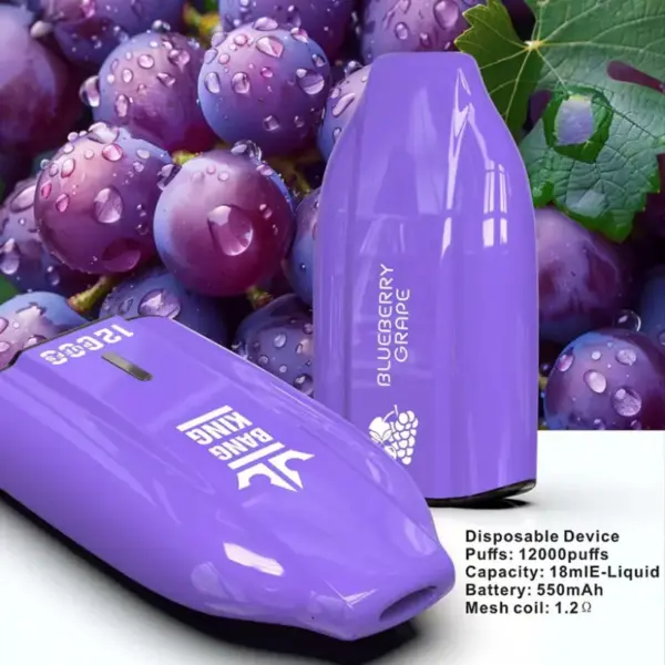 EU Lager Bang King 12000 Züge Günstige Einweg Vape Großhandel 3 bis 7 Werktage Kostenloser Versand