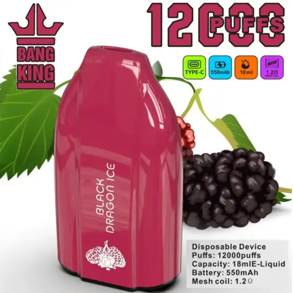 EU Lager Bang King 12000 Züge Günstige Einweg Vape Großhandel 3 bis 7 Werktage Kostenloser Versand