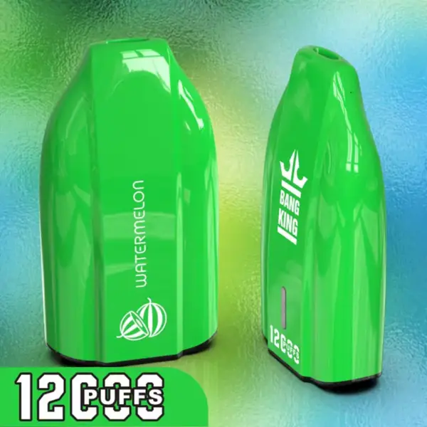 EU Lager Bang King 12000 Züge Günstige Einweg Vape Großhandel 3 bis 7 Werktage Kostenloser Versand