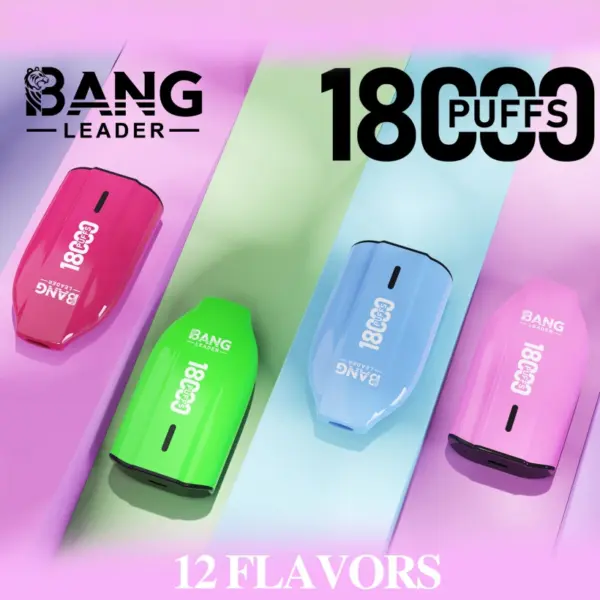 Bang Leader 18000 Züge Einweg Vape 18k günstiger Preis Großhandel kostenloser Versand