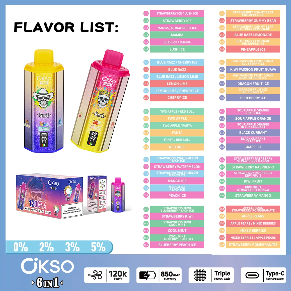 OKSO 120K Puffs 6 In 1 Best Disposable Vape Shop 120000 Kostenloser Versand