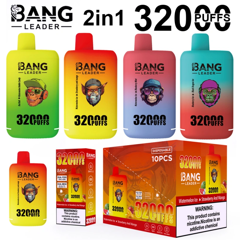 Puff 2 in 1 Bang Leader 32k Züge Einweg Vape Shop Großhandel kostenloser Versand