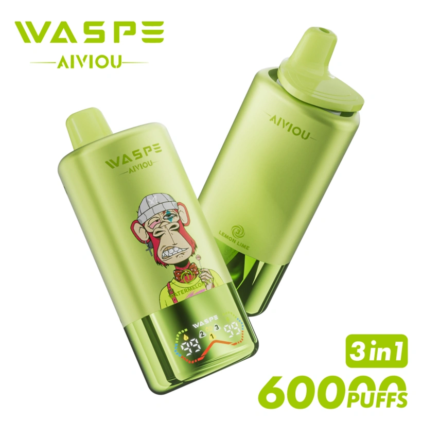 WASPE 60000 Züge 3 in 1 Einweg Vape AIVIOU Kostenloser Versand EU Lager