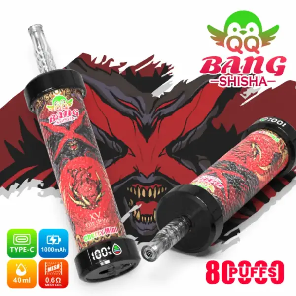 QQ Bang Shisha 80000 Züge Bester Einweg Vape Kostenloser Versand